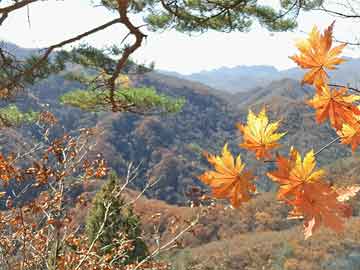 湖南绍山旅游景点（绍山有什么好玩的）